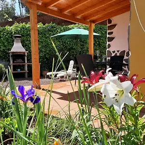 Сasa de vacaciones Barrancolaurel Moya (Gran Canaria)